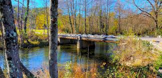 Un des ponts sur la Ganière, aux couleurs d'automne