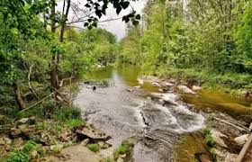 La Ganière au cœur de la verdure